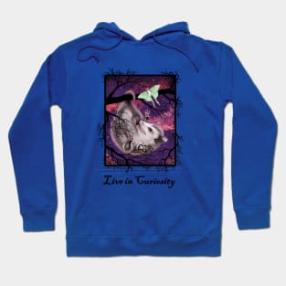 "Live in Curiosity" Opossum and Moth Hoodie